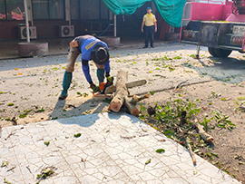 alt