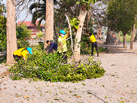 alt